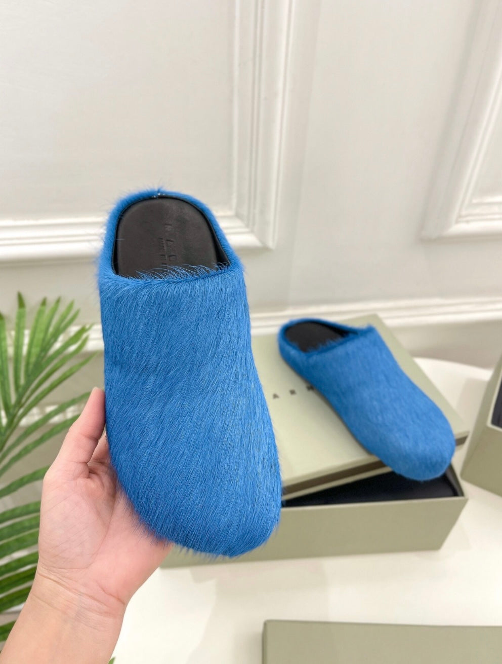 Fur Slides