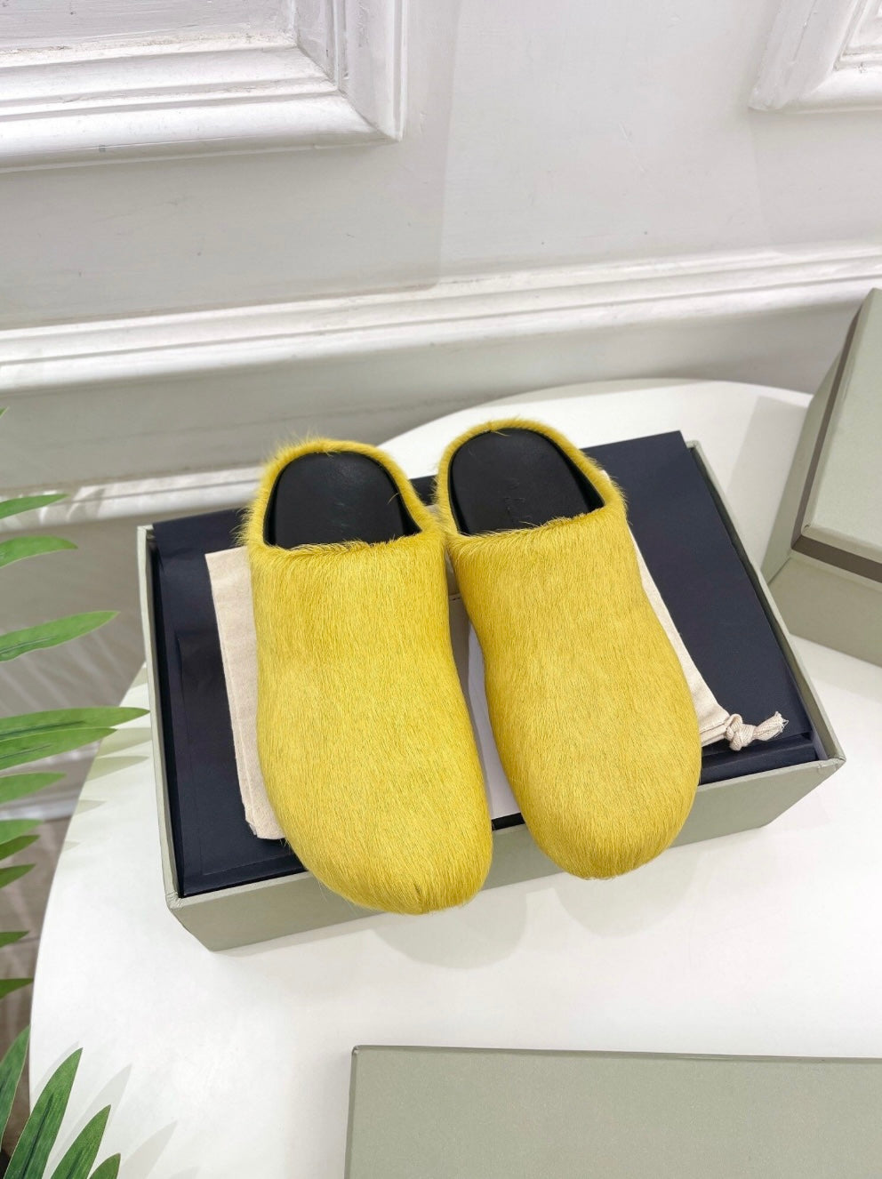 Fur Slides
