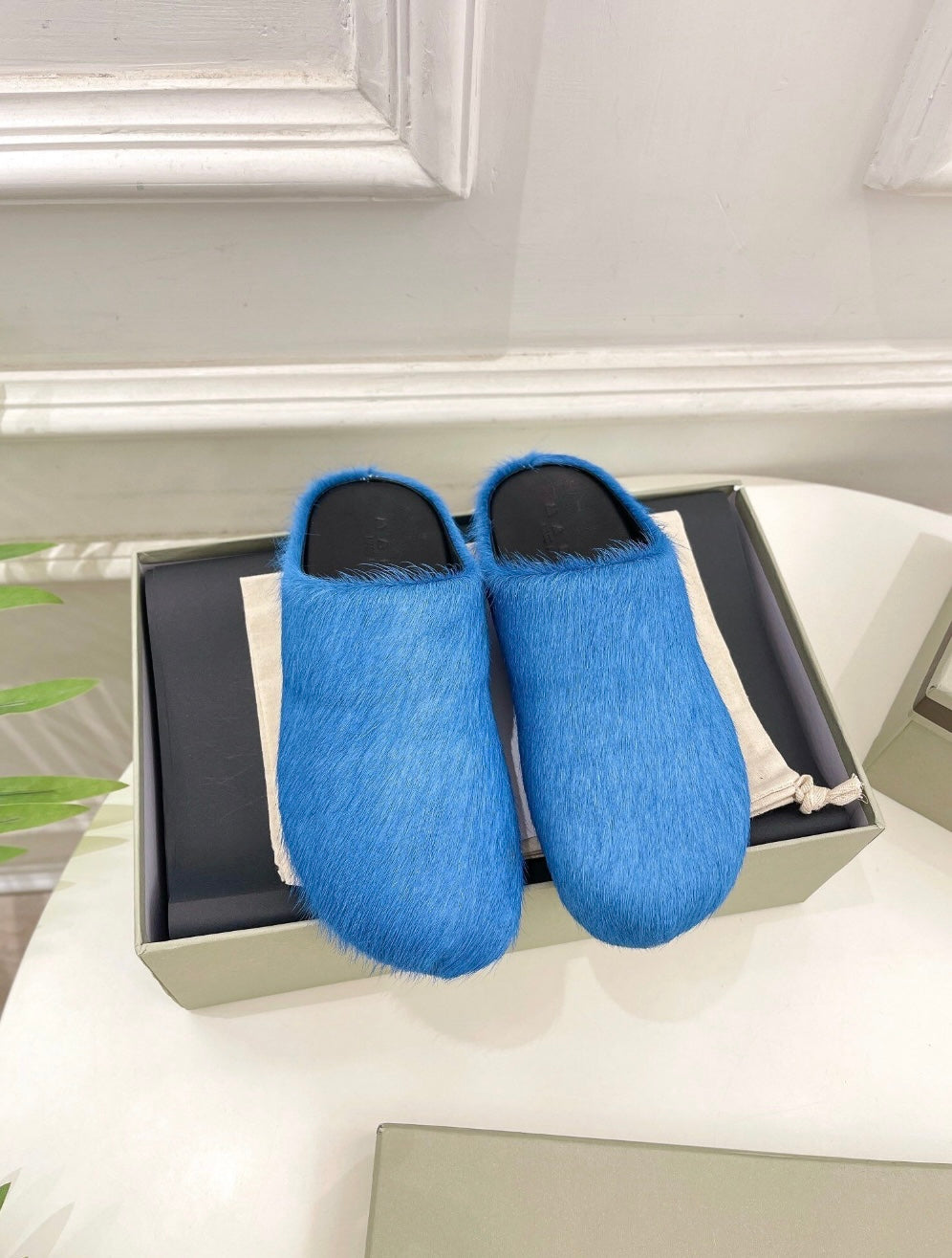 Fur Slides